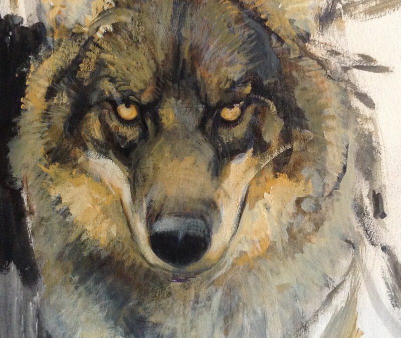 SERIE FAUNA IBÉRICA: EL LOBO