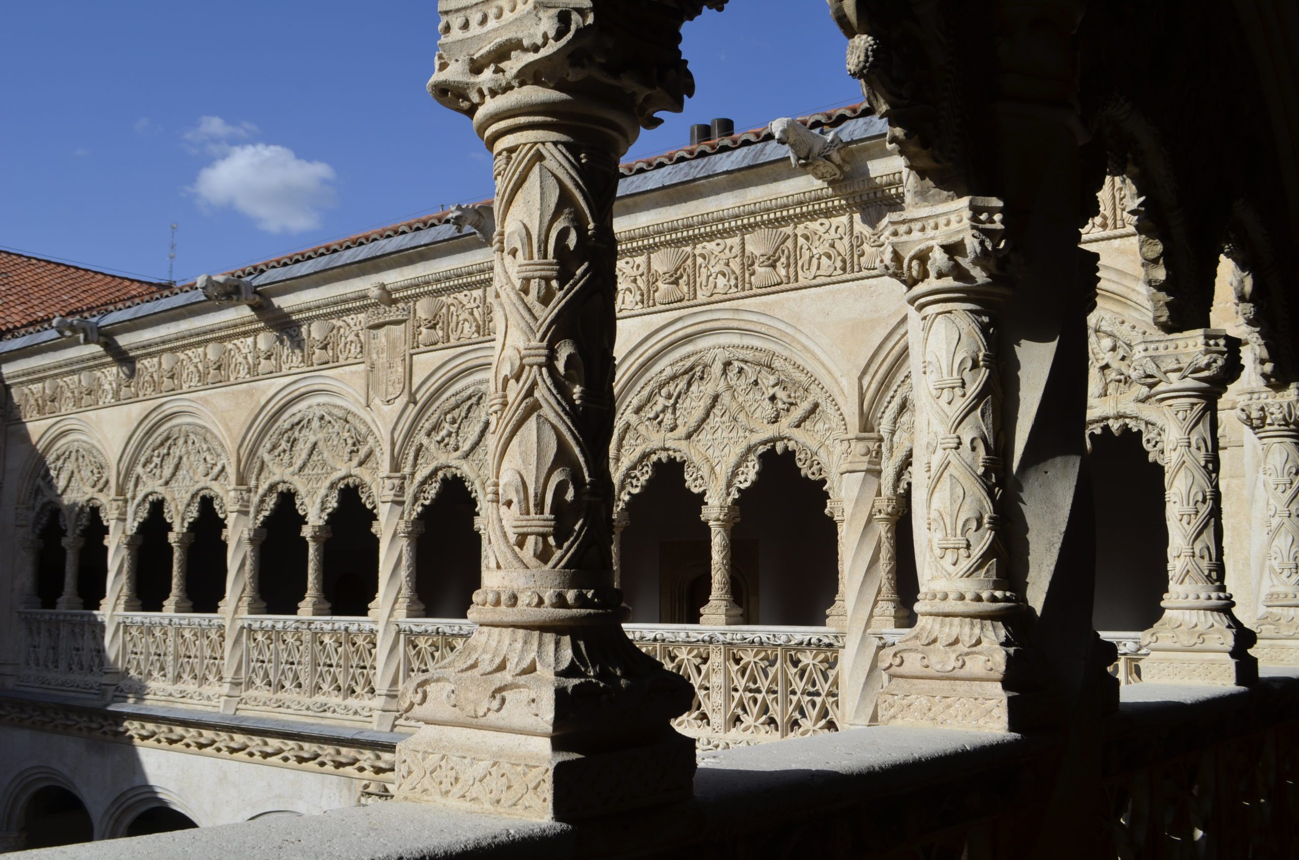 _DSC0858_28380 copia