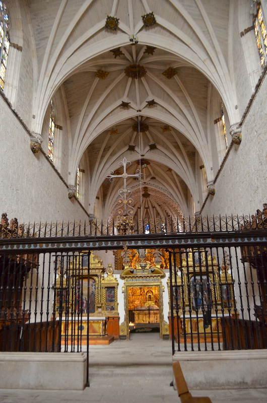 DSC_0893_9963 copia