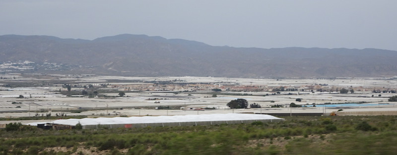 mar de plástico